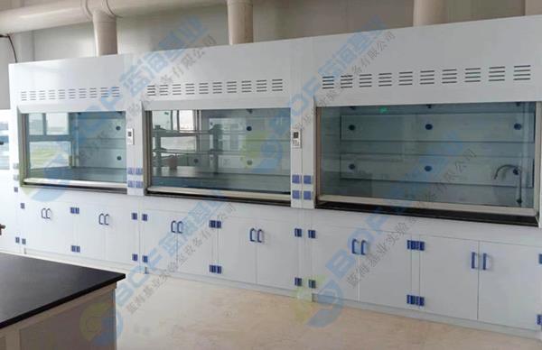 PP Fume hood